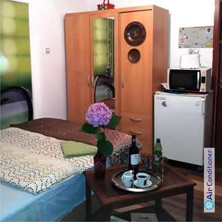Гостевой дом Hostel Pascalis Alesd Aleşd Двухместный номер с 1 кроватью и собственной ванной комнатой-11