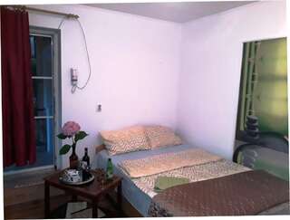 Гостевой дом Hostel Pascalis Alesd Aleşd Двухместный номер с 1 кроватью и собственной ванной комнатой-24